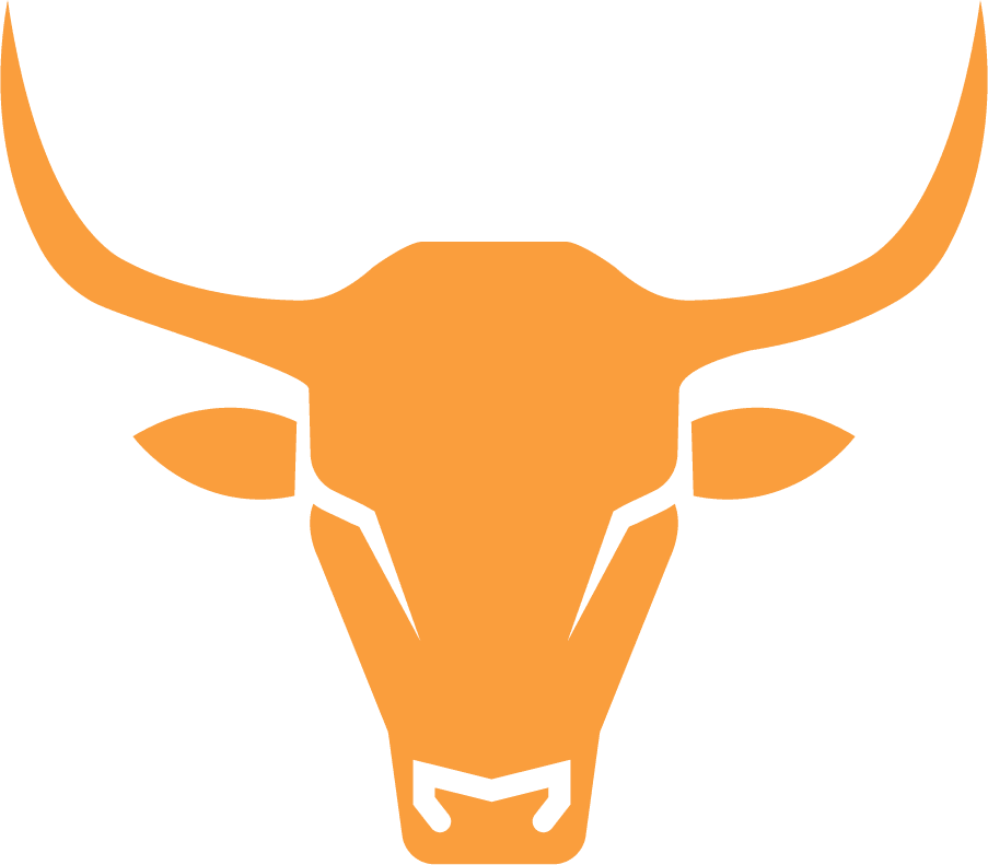 Burlington Longhorns